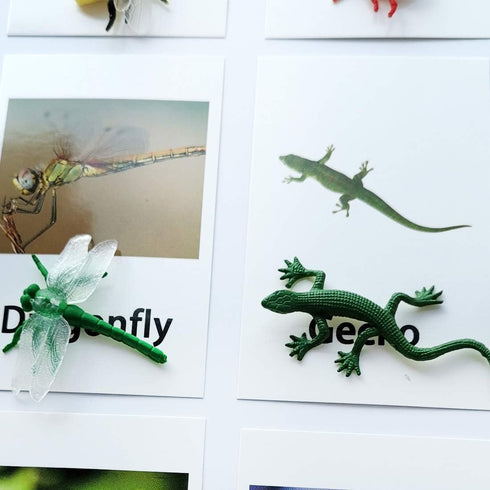 MEROCO Montessori Animal Match, Insect Animal Figurines with Matching Cards for Preschool Learning Toy NEWT008