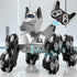 NQD Robot Dog Toy, 360Rotate Remote Control Robot Dog with Dancing &