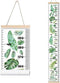 Kids Growth Chart, Wood Frame Fabric Canvas Height Measurement Ruler, Monstera Deliciosa, 7.9 x 79in