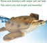 16 Inch Simulated Ocean Big Animal Toys Sea Animals Toy Large Size Marine Animal Action Figures Soft Filled Rubber Sea