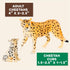 Terra by Battat – 4 Pieces Cheetah Family – 1 – 4-Inch Plastic Figurines for Kids, Educational Toy Figures