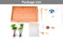 Japanese Zen Garden for Desk, Mini Small Beach Zen Garden Kit for Desk, Meditation Accessories Desktop Sandbox