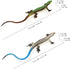 NAKIMO (Set Plastic Lizard Toys Lizard Figurine Realistic Fake Lizards Artificial Model Reptile Toy for Cake Decoration