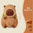Capybara Stuffed Animals Plushies, Adorable Plush Toy with Removable Turtle Backpack, Unique Gifts for Kids