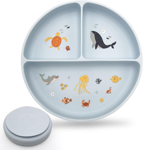 Studio Merveille Silicone Suction Plates with Dividers - Grip Plates for Babies 6-12 Months