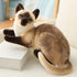 Siamese Cat Stuffed Animal, 12 inches, Shorthair Realistic Plush Cat Toys, Gift for Kids (A)
