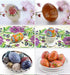 Fane 6Pcs Wooden Faux Fake Eggs, Children Play Kitchen Game Food Toy - Log Color