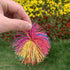 Estimable 16 PCS Sensory Fidget Stringy Balls, Multicolor Soft Rubber Bouncy Stress Balls, Pull Stretch Elastic Ball