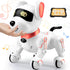Robot Dog Toys for Kids 8 9 10 11 12, Remote Control