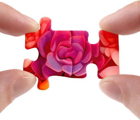 Rainbow Succulent Cactus Puzzle - 1000 Piece Colorful Gradient Plant Jigsaw for Women