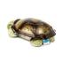 Cloud b Calming Nightlight Star Projector, Gentle Brightness, 3 Colors, 8 Constellations, Auto-Shutoff, Twilight Turtle