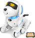 Dwi Dowellin Robot Dog for Kids 8-12,Remote Control Smart Robotic Dogs Pet