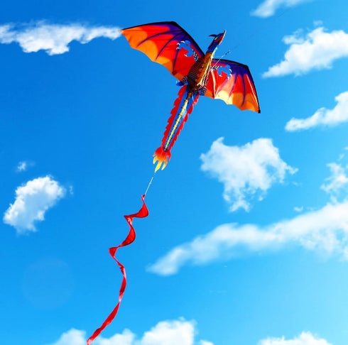 HENGDA KITE Upgrade Classical Dragon Kite, 55"x62" Stereoscopic Easy to Fly for Kids & Adults