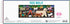 Galison Dog Walk Panoramic Puzzle, 1,000 Pieces, 39” x 14” – Colorful Landscape Jigsaw Puzzle for Family Activity