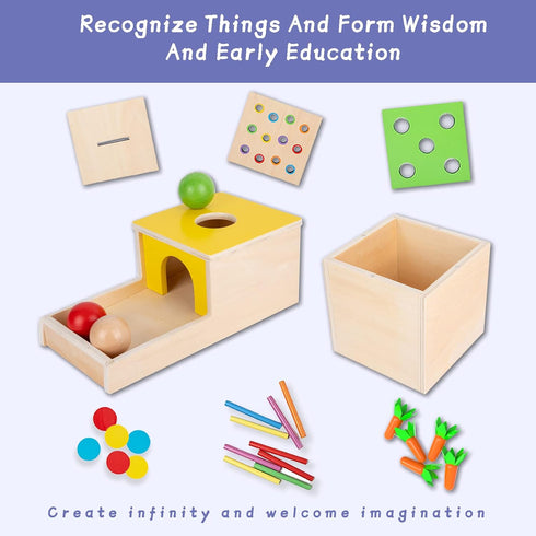 Adena Montessori 4 in 1 Wooden Play Kit for Kids 1-3, Object Permanence Box, Color Drop Game, Ball Drop Toy