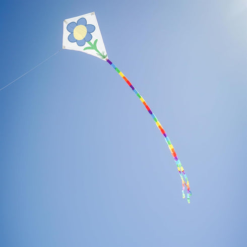 In the Breeze Coloring Diamond 20 Inch Kite, Single Line, Ripstop Fabric, Includes Crayons, Kite Line & Bag