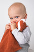 Angel Dear Fox Blankie