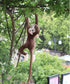 Long Arm Hanging Monkey Stuffed Animals - Curtain Monkey Plush Toy Birthday Gift (24 Inch)