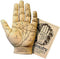 Palmistry Hand Model Resin Sculpture for Fortune Telling with Booklet