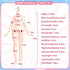 1/12 OB11 Minty The Fantasy Forest Series BJD Doll Size Action Figures Collectable Anime Figures Dolls Mystery Box