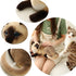 Siamese Cat Stuffed Animal, 12 inches, Shorthair Realistic Plush Cat Toys, Gift for Kids (A)