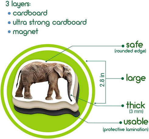 19 Fridge Magnets for Toddlers, Zoo Photo Kids Magnets for Refrigerator, Animal Magnets