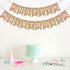 Video Game Birthday Decorations - Pink Game Controller Happy Birthday Burlap Banner, Gamer Themed Sign