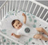 fundich 45"x40" Baby Milestone Blanket for Boys & Girls | Soft Monthly Picture Blanket for Newborn | Eucalyptus Nursery