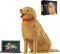 HJPLPXH Animal Dog Adorable Pet Golden Retriever Micro Building Blocks Set (3024 Pieces)