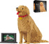 HJPLPXH Animal Dog Adorable Pet Golden Retriever Micro Building Blocks Set (3024 Pieces)