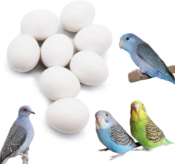 FOIBURELY 8 Pcs Solid Parrot Plastic Eggs Hatching Eggs ParrotletBudgie ParakeetDiamond Dove Trick