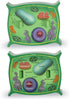 Learning Resources Cross-Section Plant Cell Model, Plant Anatomy Science Classroom Accessories, Ages 7+