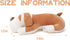 Niuniu Daddy 17.7" Brown Puppy Plush Toy Pillow - Kawaii Stuffed Animal for Kids, Toddlers & Teens, Soft Room Decor