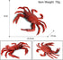 Realistic Crab Marine Animal Model Toys, 2 Pcs Simulated Sea Life Animals Figurine Collection for Science Educational