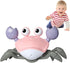 Crawling Crab Baby Toy, Fantastic Creatures Infant Sensory Tummy Time Toys for Learning to Crawl (Pink)