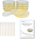 Bacteria Science Kit (IV): Top Science Fair Project Kit with Prepoured LB-Agar Plates and Cotton Swabs