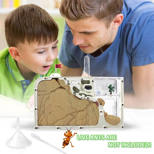 Ant Farm Castle - Ant Farms with Yellow Sand and Tool Kit, Ant Colony Observation Kit for Kids, Educational Science Kit