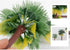 QuarenDen 49Pcs Rainforest Figures, Model Scenery Kit, Jungle Animals Figures, Model Trees and Animals, Boys and Girls