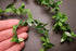 Aorvoras 1:6 (11 Mini Leaf Garland, Dollhouse Miniature Ivy Leaf Vine Garland, Dollhouse Mini Wreath, Miniature