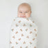 2-Pack 100% (47" 47"), American Baby Company Cotton Muslin Swaddle Blanket x Soft, Breathable & Lightweight, Teddy