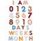 Windkream 29 Pcs Felt Baby Monthly Milestone Decor Numbers and Letters Newborn Birth