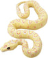 Snake Toys for Toddlers - Natural World Action Figures, Wildlife Figurines for Birthday Cake Topper and Garden