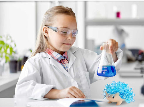 Crystal Growing Toys for Kids, Colorful Crystal Hedgehog to Grow, Science Experiments Learning for Kids