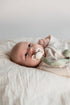 Set 2 6-18 BIBS Pacifiers - Supreme Collection | BPA-Free Baby Pacifier | Made in Denmark | of Sage/Hunter Green Color