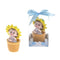 Lunaura Baby Keepsake - Set of 12 "Boy" Baby with Pacifier Inside