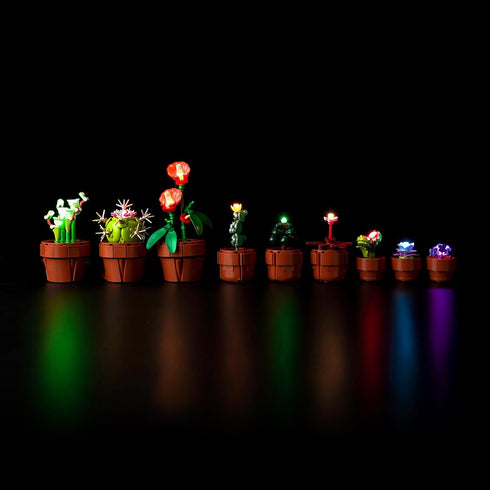 LED Lighting Kit for Lego 10329 Icons Tiny Plants Building Kit - Lights Only, No Building Block Model