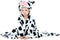 MICHLEY Baby Hooded Swaddling Blanket, Animal Face Toddler Throw Blanket for Boys Girls 0-3 Years (Cow)