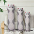 19.7 Inch) Cute Cat Plush Long Body Pillow Soft Cartoon Stuffed Animal Doll, Kawaii Cat Plushie Toy Pillow Gifts