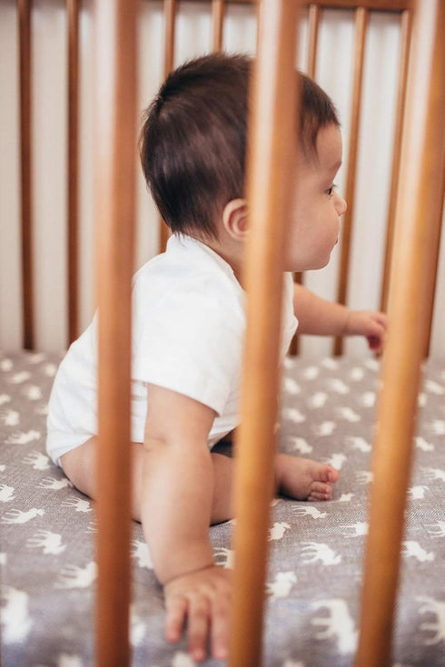 Trendy Knit Crib Sheet/Toddler Sheet in Scout by Copper Pearl