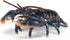 3+ 4.1 1.4 0.6 Papo - Realistic Lobster Figure Toy for Kids - Ages - Marine Life Collection - Educational Play Marine